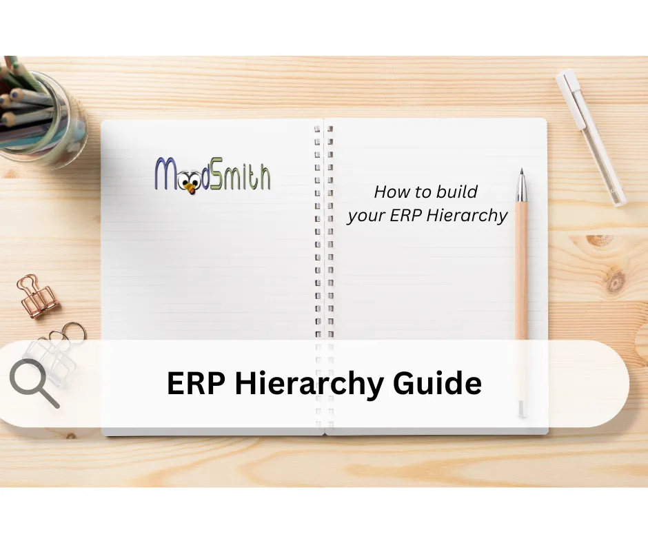 ERP Hierarchy Guide